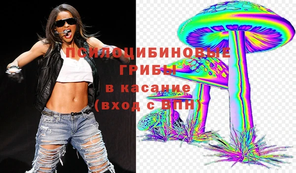 винт Баксан