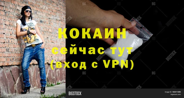 гидра Кинешма