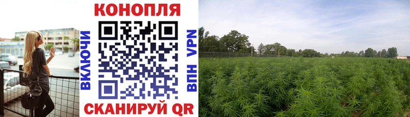 что такое   Богородицк  Каннабис марихуана 